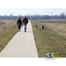 2006-13-03 Geuzenwaard oude Spoordam (21)
